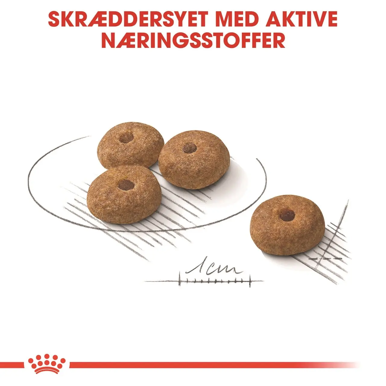 Royal Canin Mini Sterilised Adult 3 kg - hundefoder til små steriliserede hunde